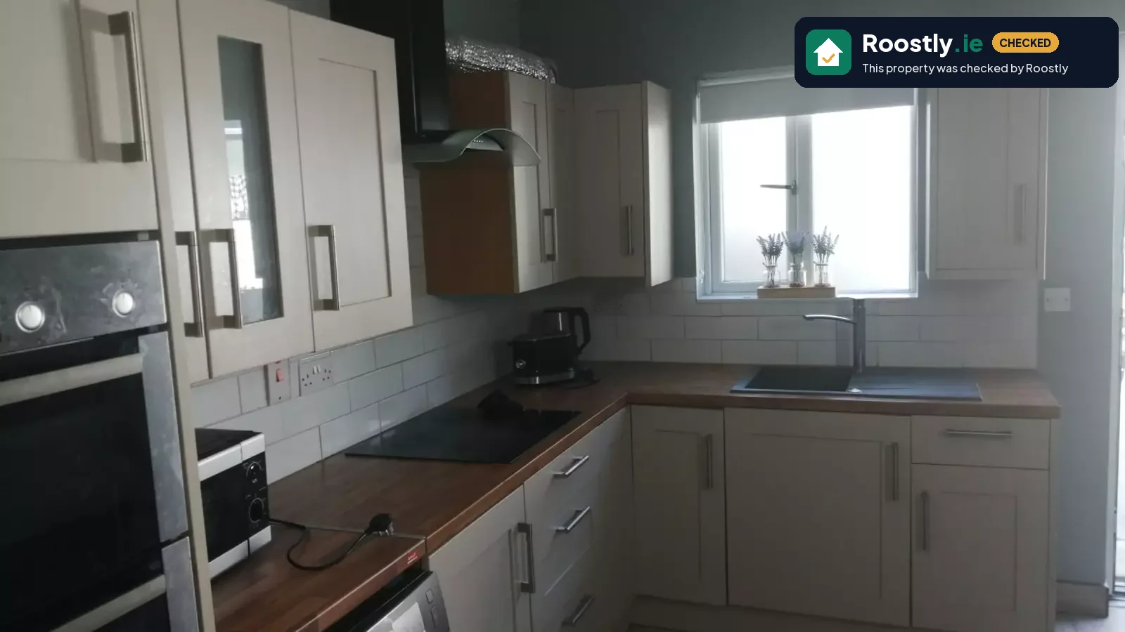 1-bedroom apartment in Dublin, single use only
